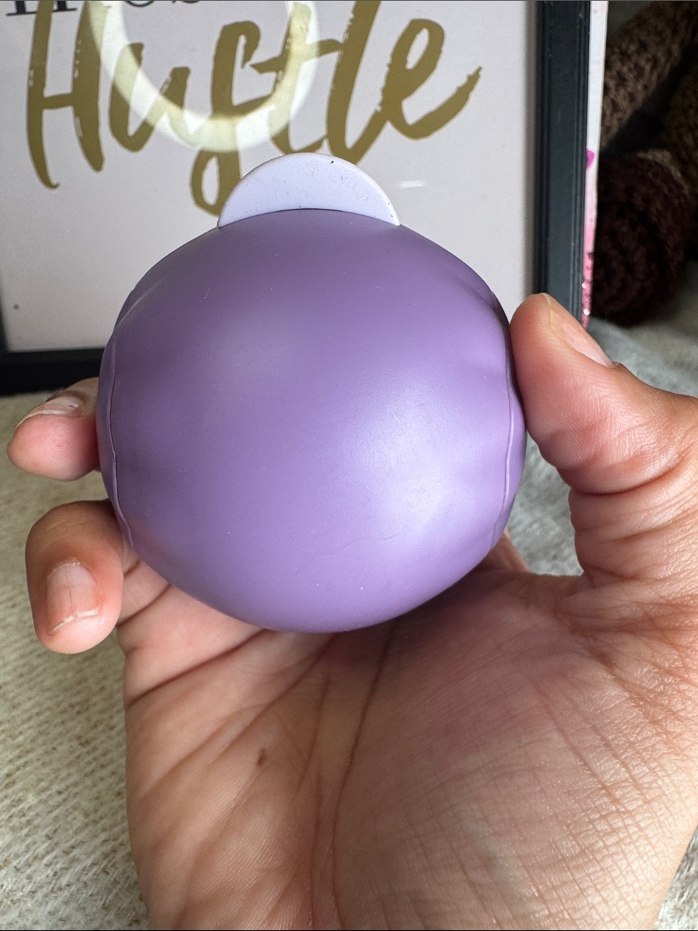 Purple Travel lint Pod
